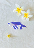 Sparkle Whale Sticker