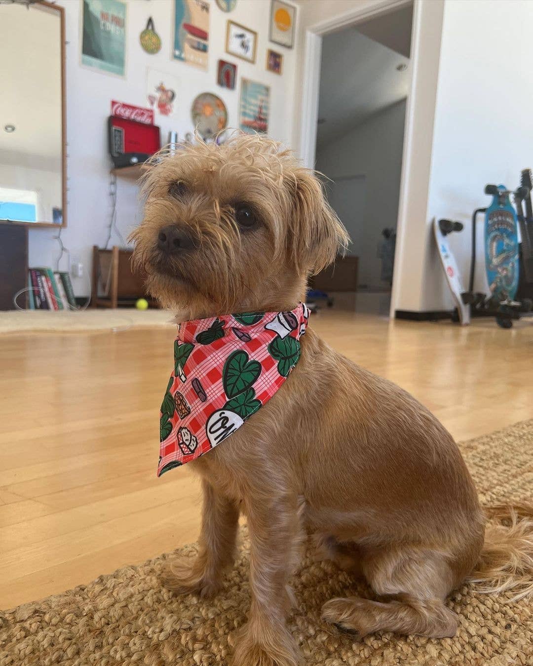 Pet Bandana- Lu'au & Musubi