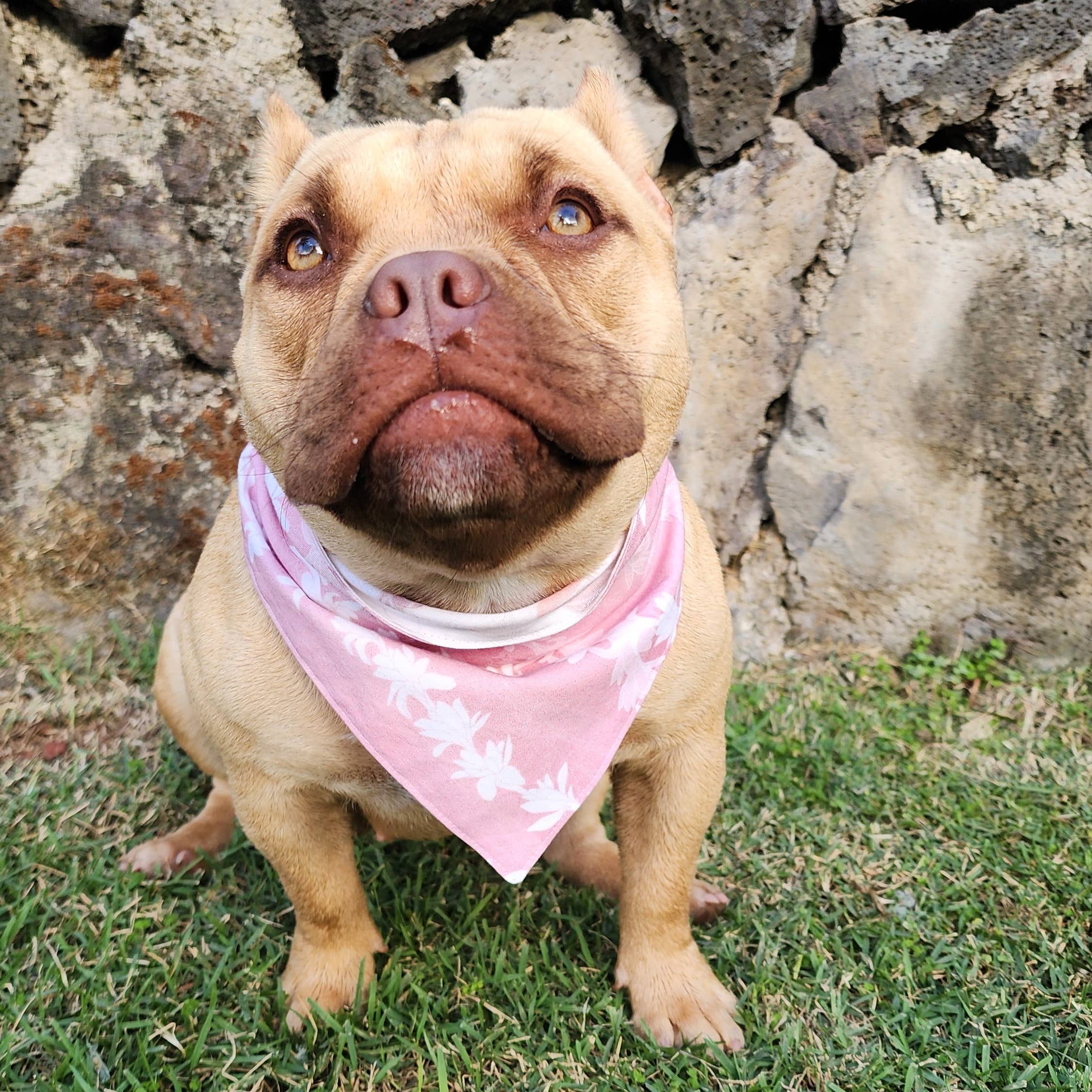 Pet Bandana- Mauve Lei Tuberose