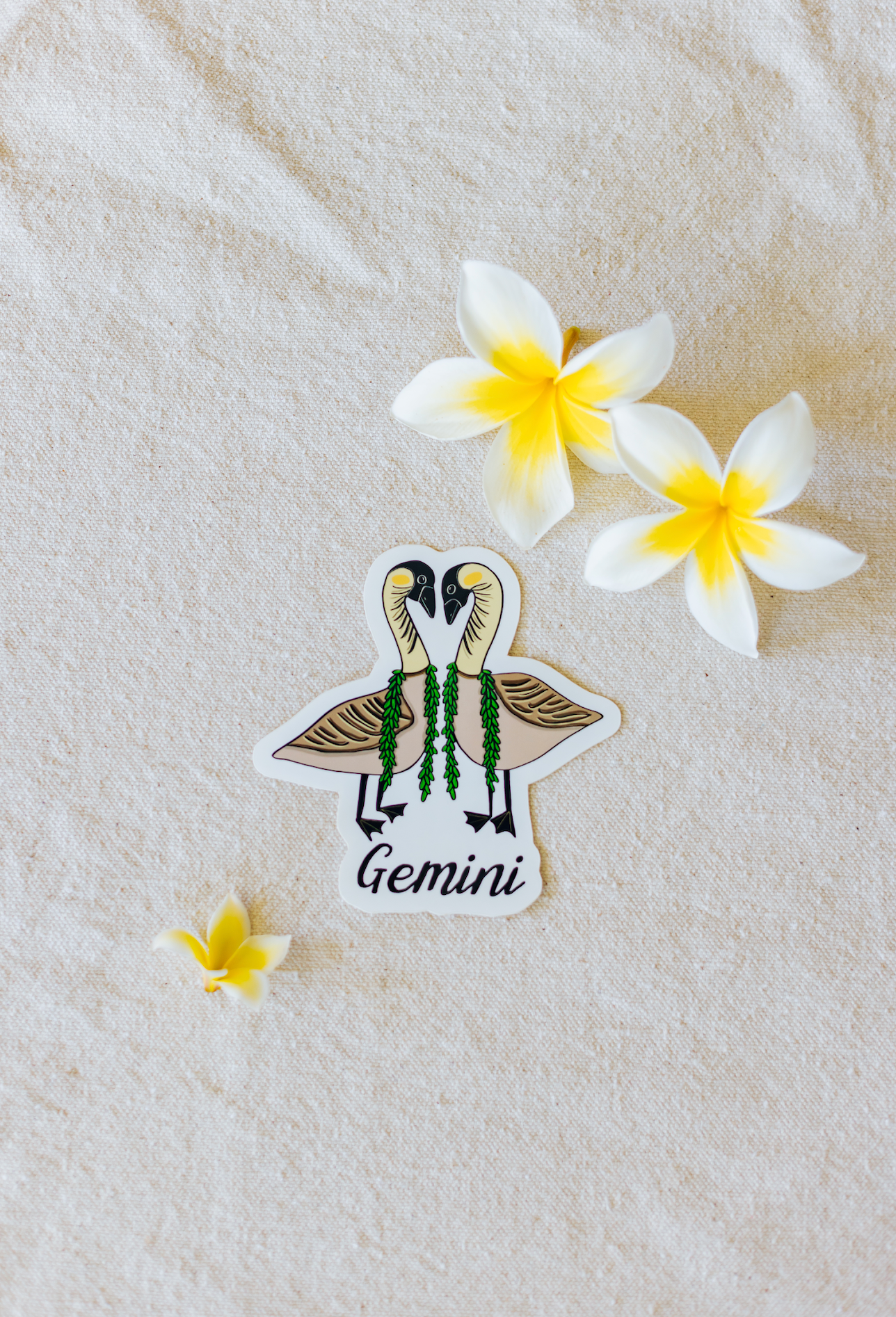Gemini Zodiac Sticker