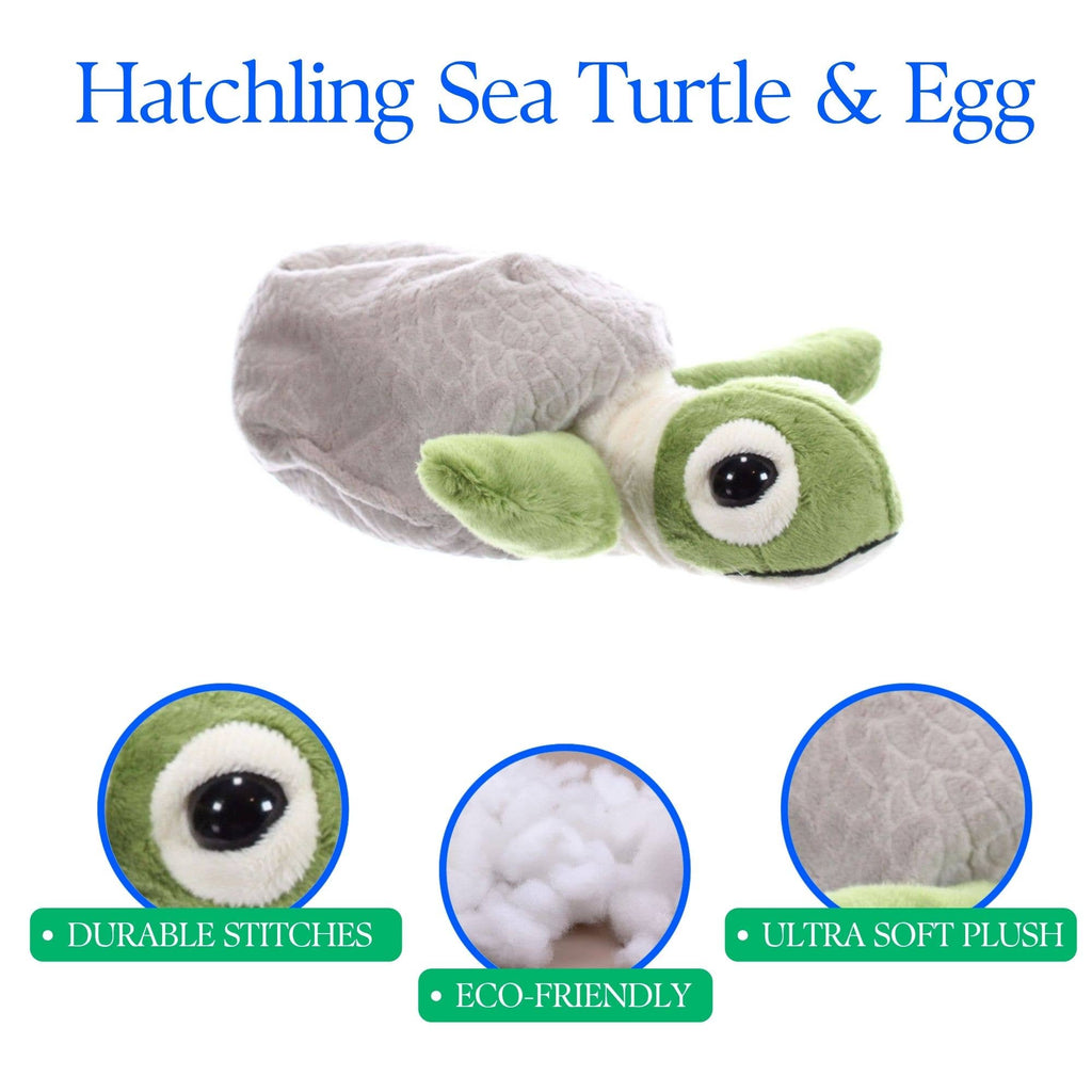 8" (20cm) Hatchling Turtle & Egg