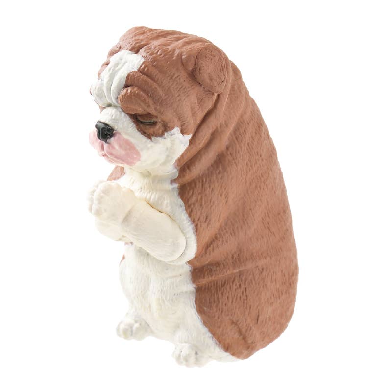 Surprise Box - Prayer Dog