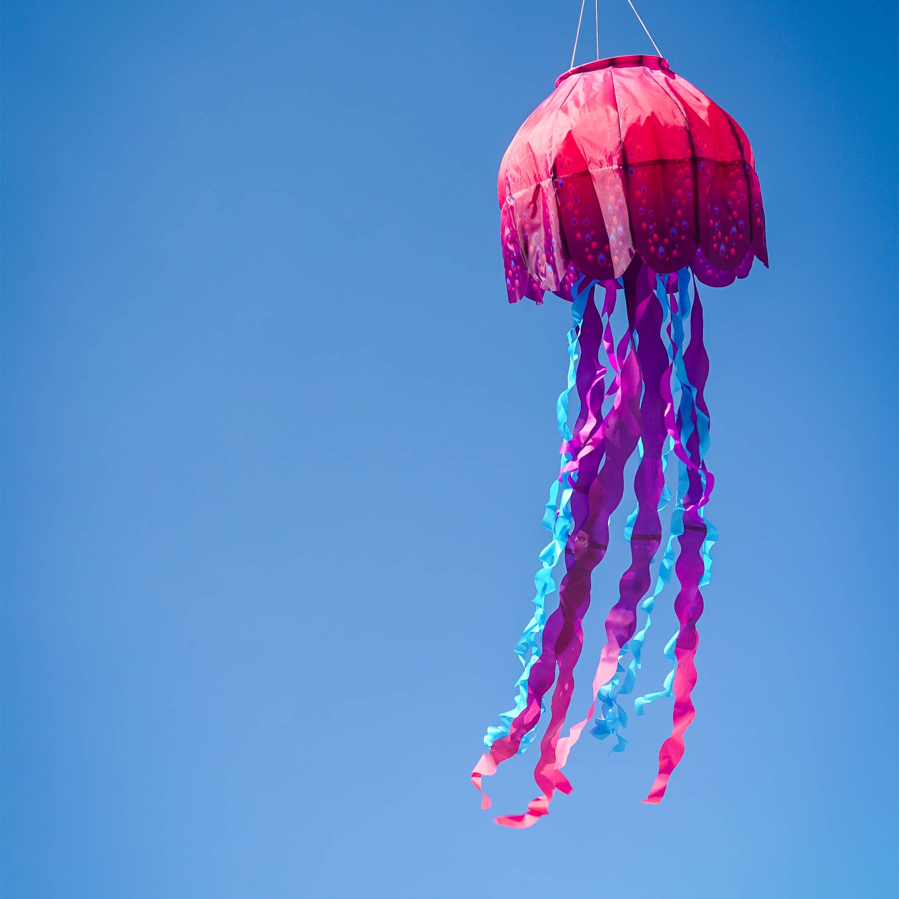 Jellyfish Big Breeze Windsock™