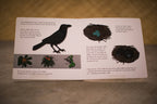 Ka 'Alala: Hawaiian Bird book