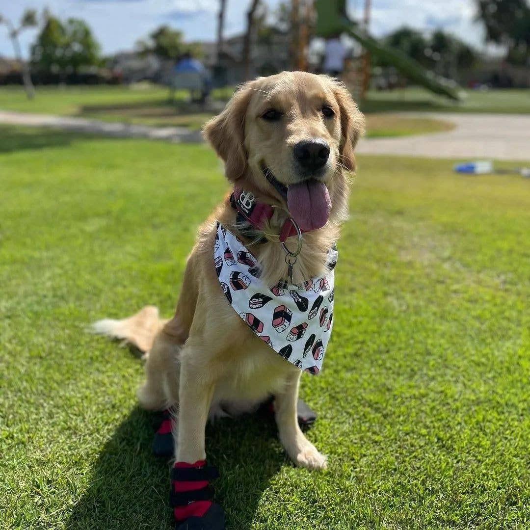 Pet Bandana- Lu'au & Musubi