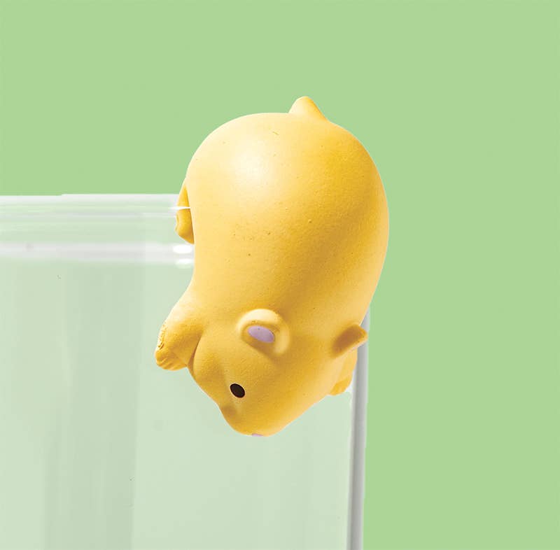 Surprise Box: Hanging Hamster