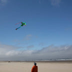 Sea Turtle 45" Fly-Hi Kite