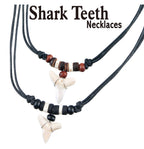 Shark Teeth Necklace