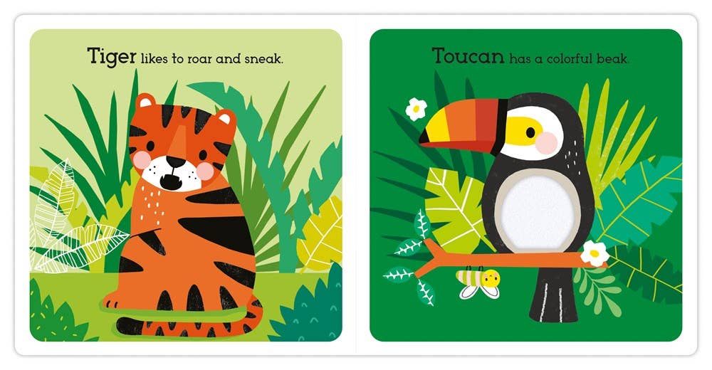 Read, Touch, Discover: Remarkable Rainforest