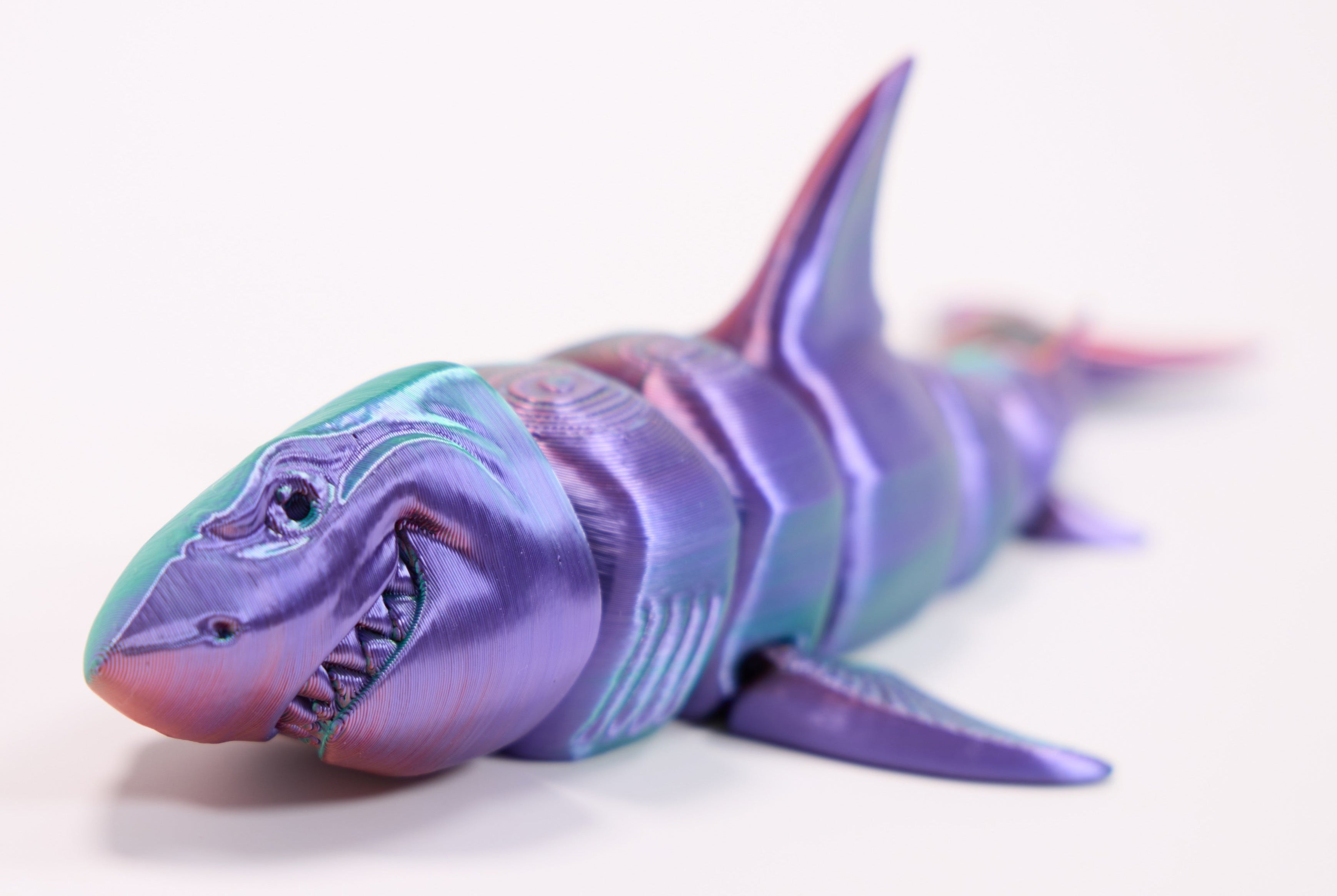 Great White Shark Fidget Toy