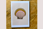 Sunrise Shell Greeting Card