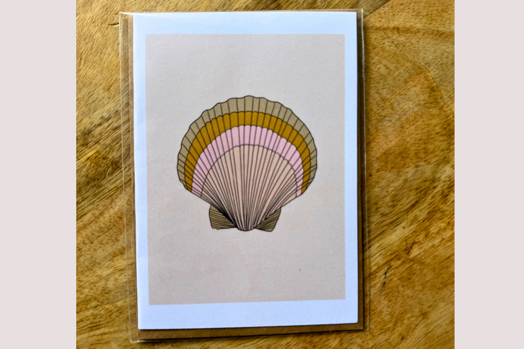 Sunrise Shell Greeting Card