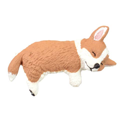 Surprise Box - Resting Dog