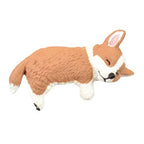 Surprise Box - Resting Dog