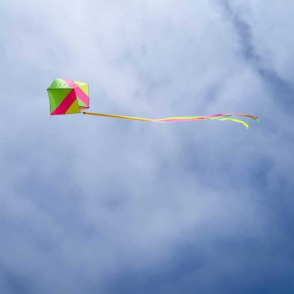 Neon Single Kite
