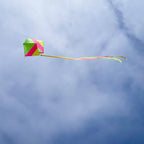 Neon Single Kite