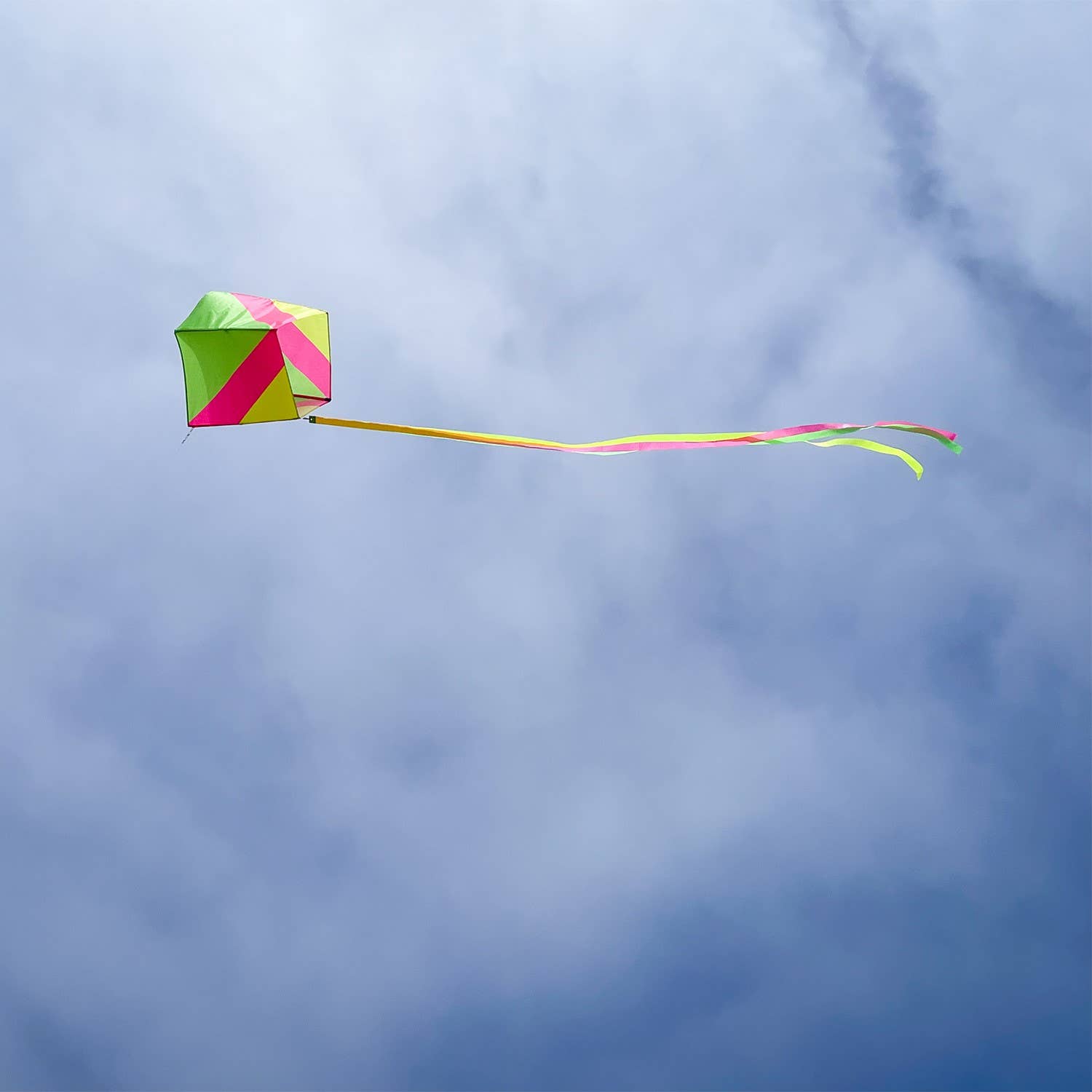 Neon Single Kite