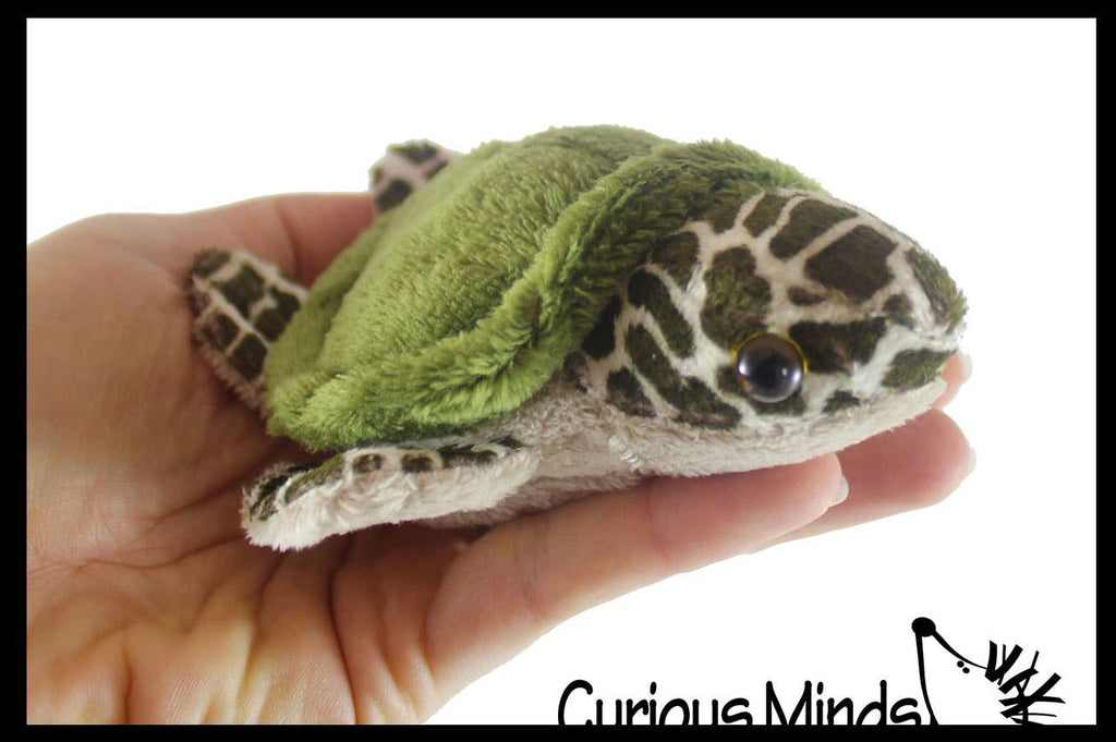 1 Small Turtle Plush Stuffed Animals