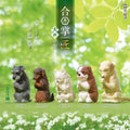 Surprise Box - Prayer Dog