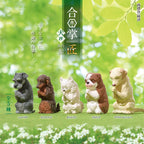 Surprise Box - Prayer Dog