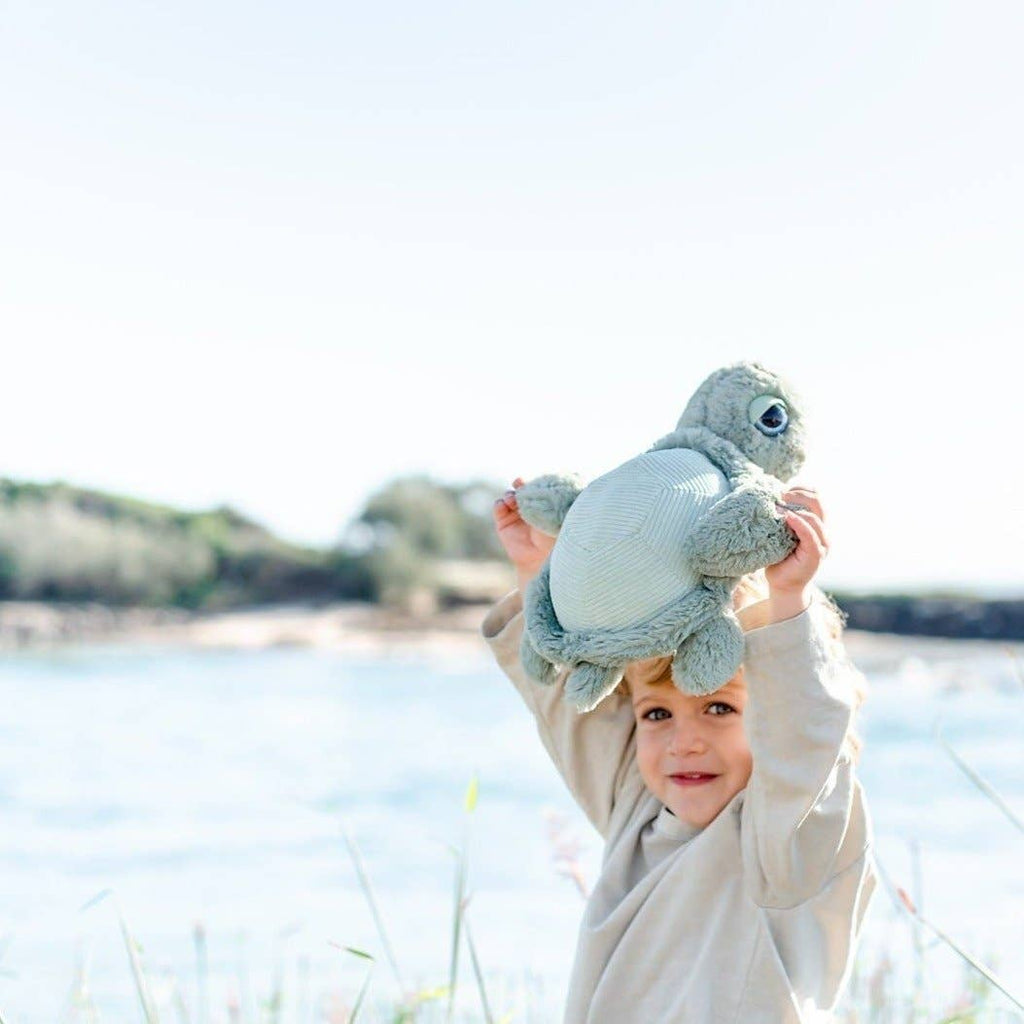 Tyler Turtle Soft toy 13"/33cm