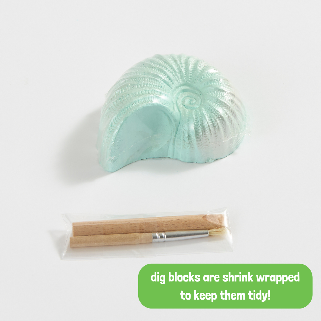 Ocean Treasure Dig Kit