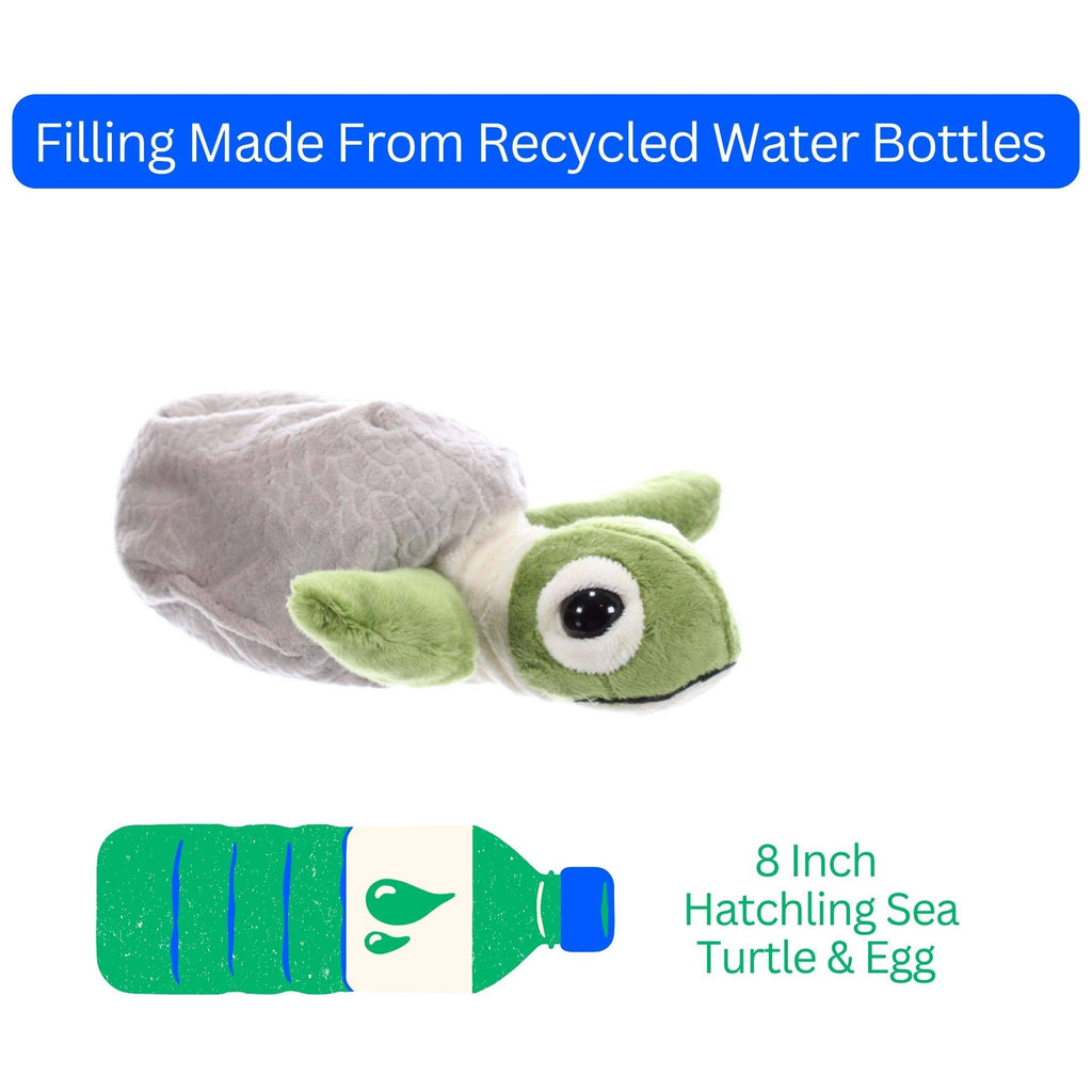 8" (20cm) Hatchling Turtle & Egg