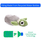 8" (20cm) Hatchling Turtle & Egg