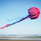 Jellyfish Big Breeze Windsock™