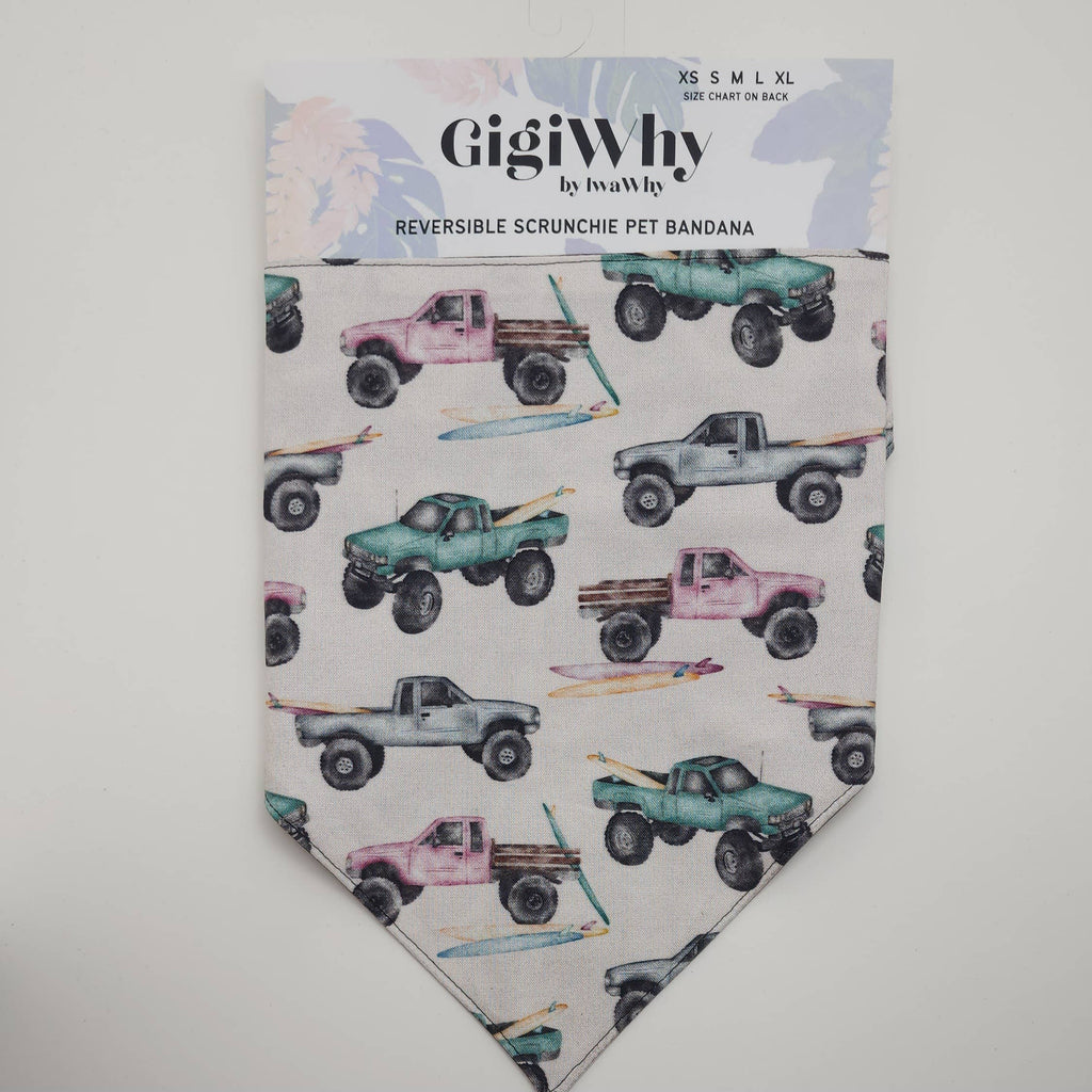 Pet Bandana- Pineapple Drinks