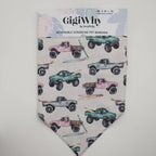 Pet Bandana- Pineapple Drinks