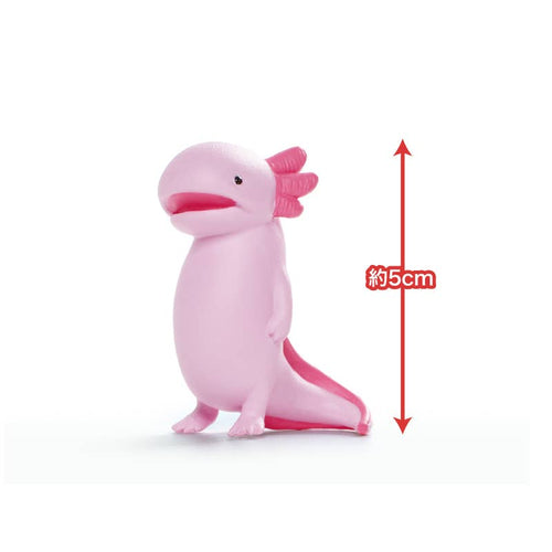 Blind box - Axolotls