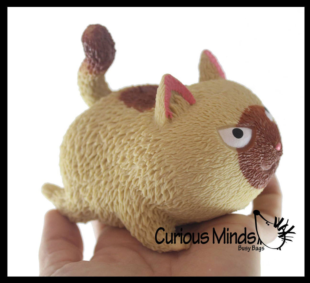 Angry Cat Soft Fluff Doh - Filled Squeeze Stress Balls  -