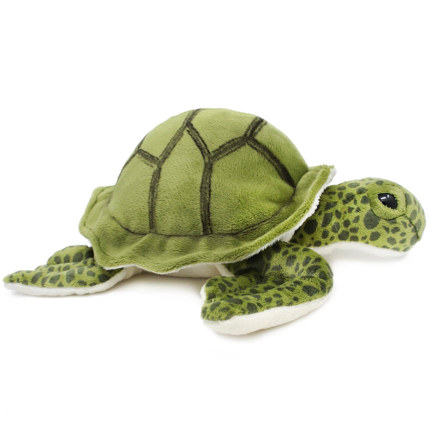 Turquoise The Green Sea Turtle 10"