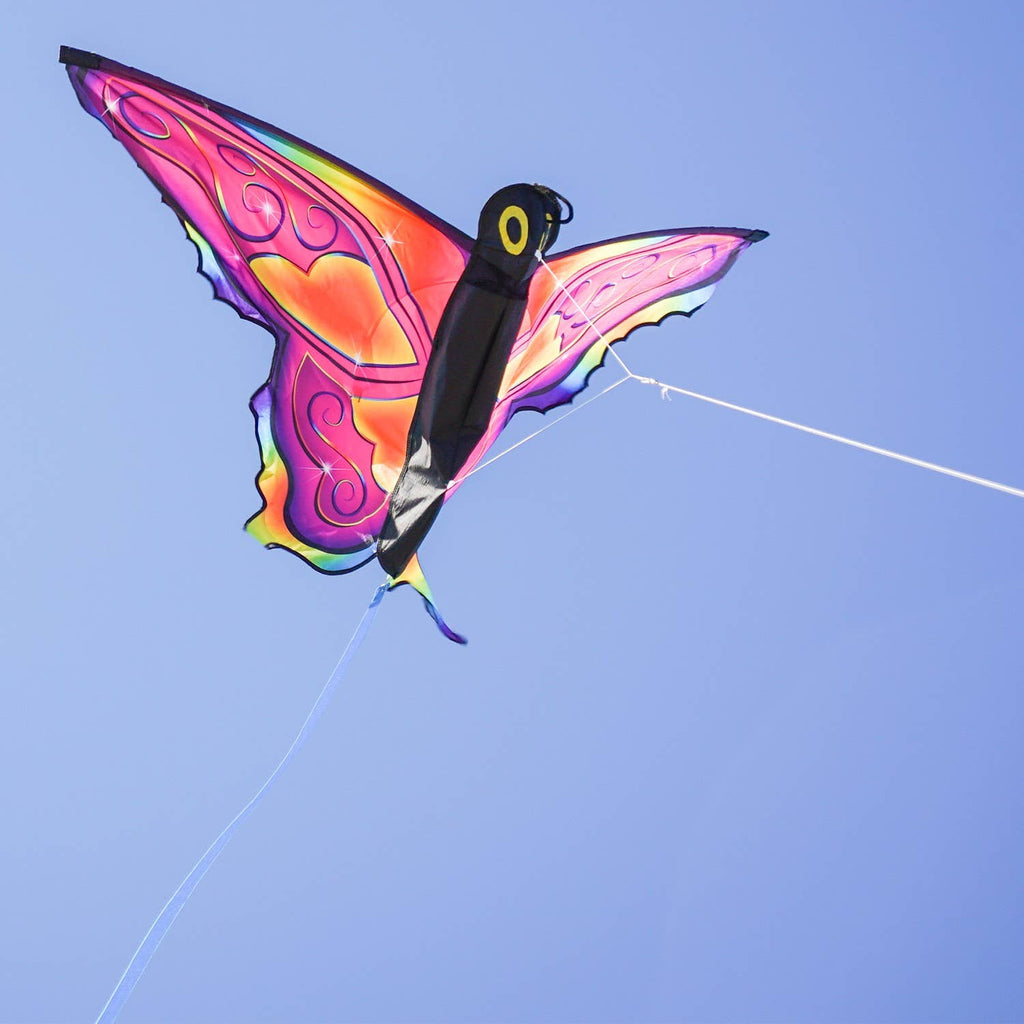 Fancy Butterfly Kite