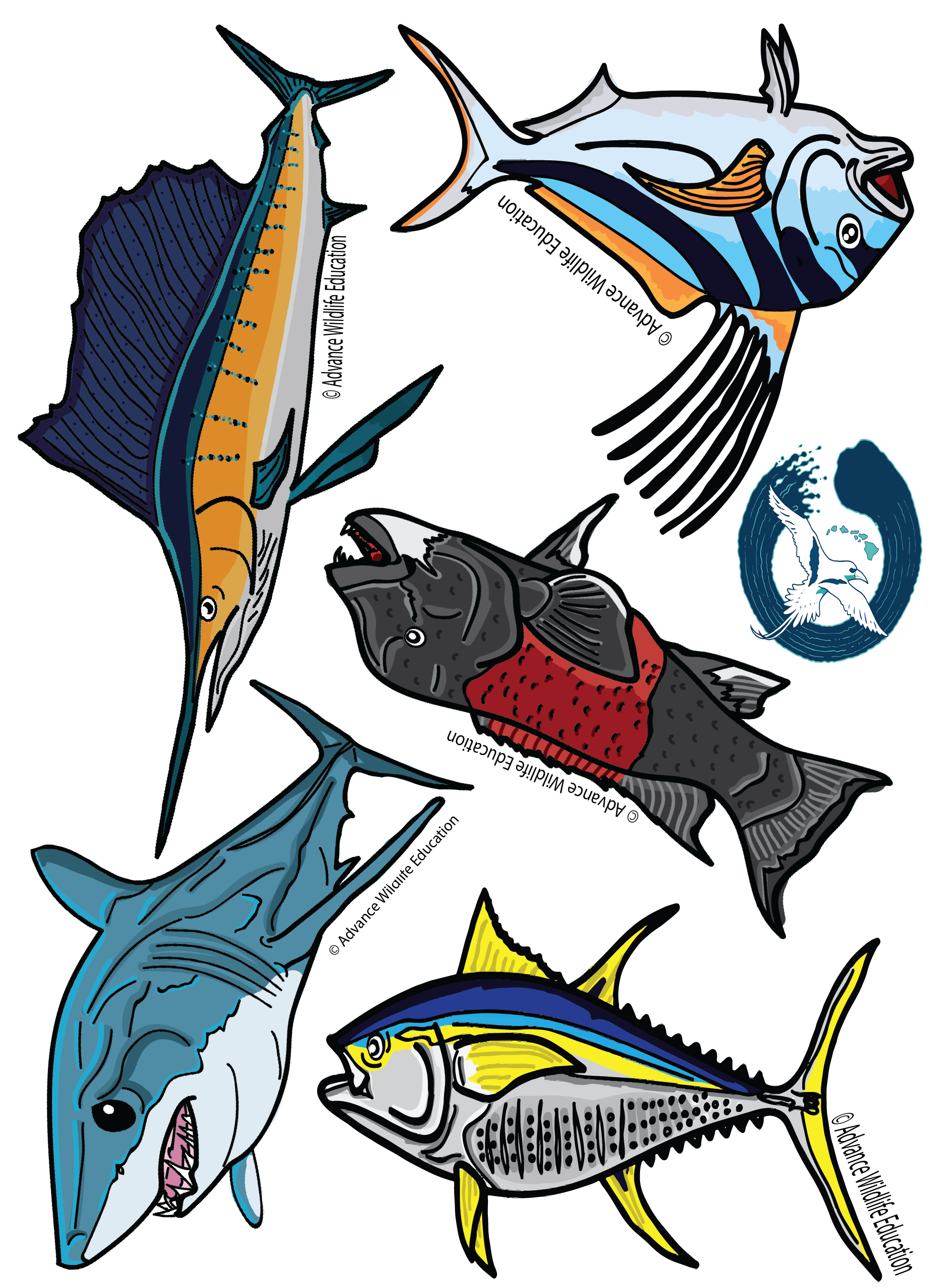 Fish of the Pacific Educational Coloring Book -