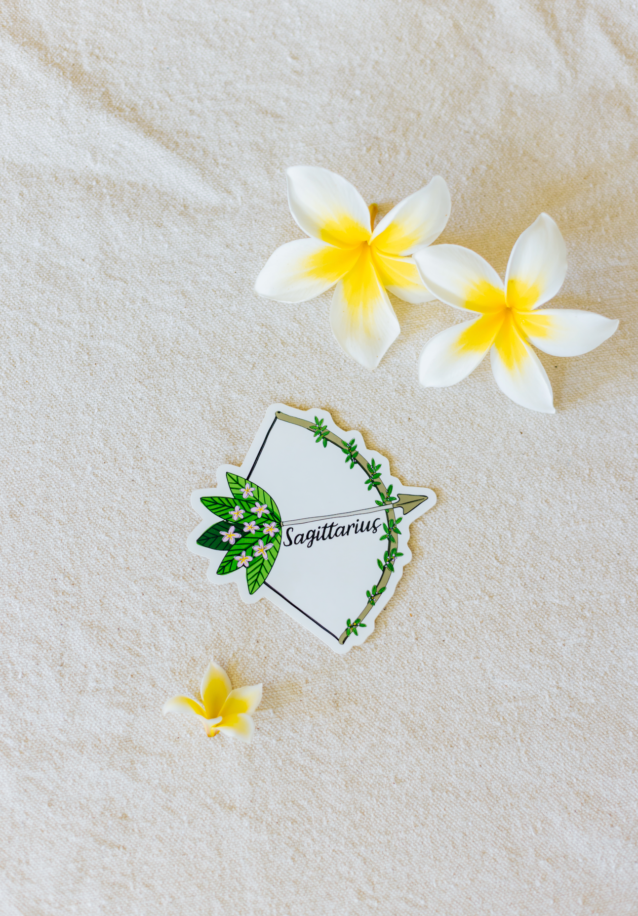 Sagittarius Zodiac Sticker