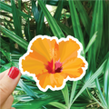 Orange Hibiscus Sticker
