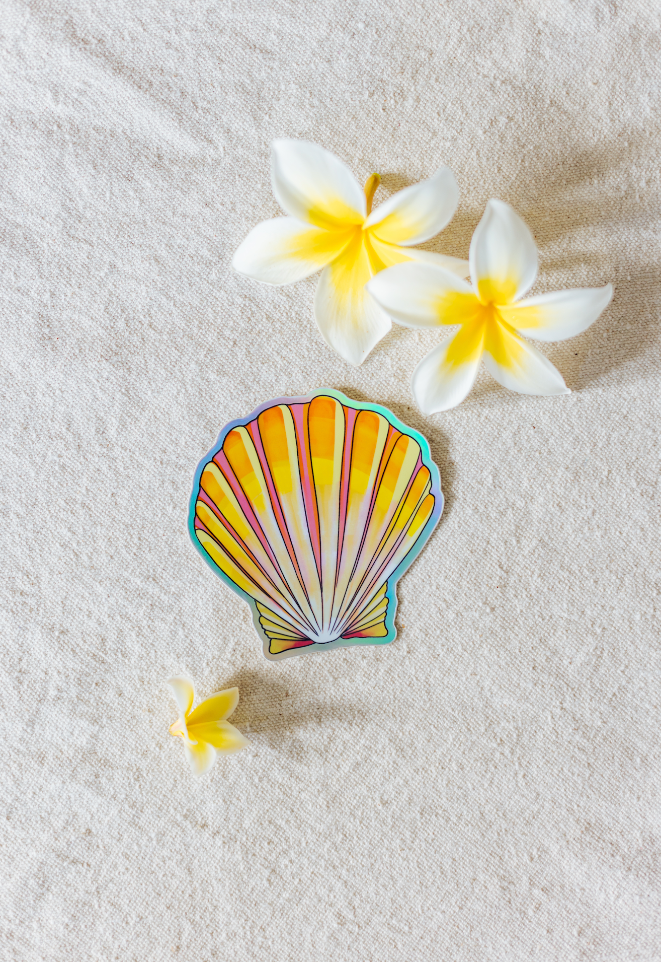 Sunrise Shell Sticker