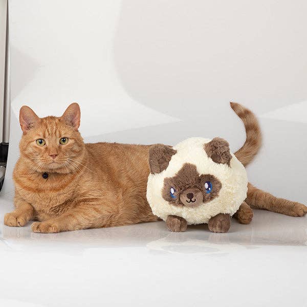 Mini Colorpoint Plush