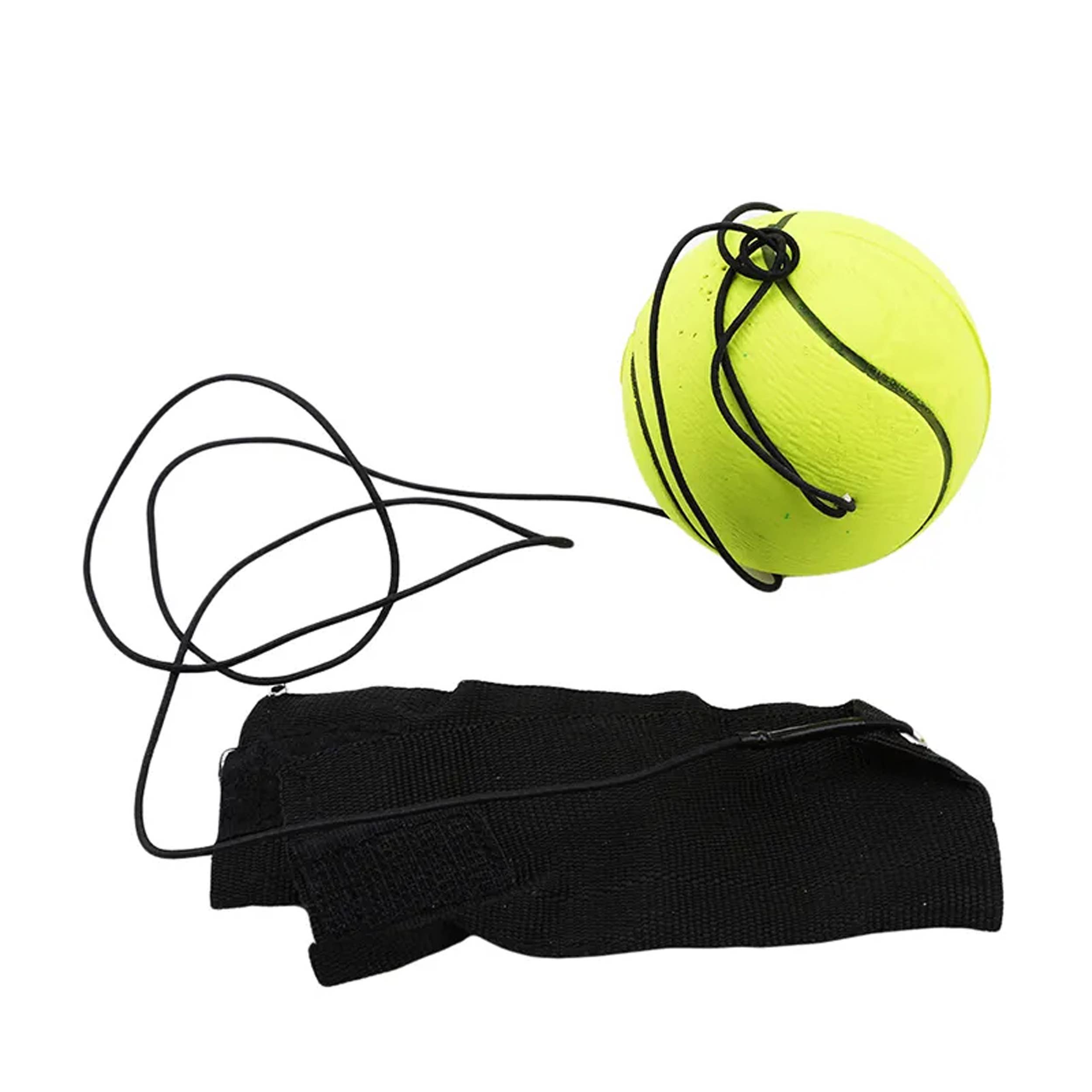 Wrist Play Ball Toy