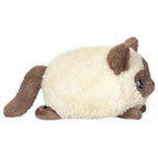 Mini Colorpoint Plush