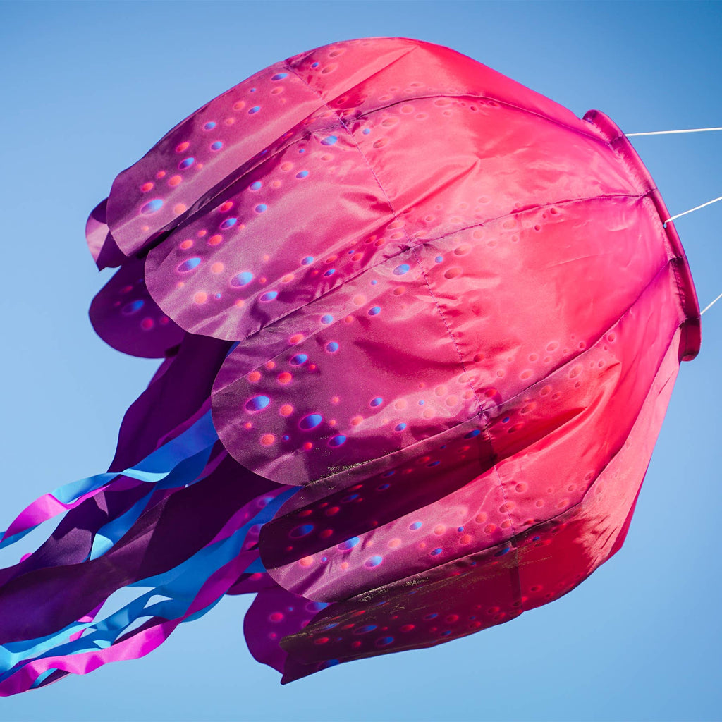 Jellyfish Big Breeze Windsock™