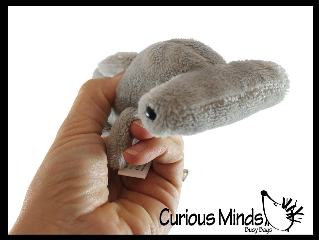Cute Hammerhead Shark Plush Stuffed Animals- Adorable Mini