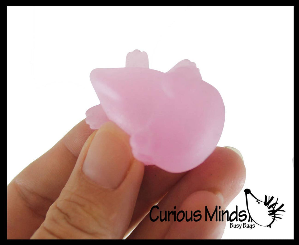 Axolotl Mochi Squishy Animals - Kawaii - Cute Jelly OT