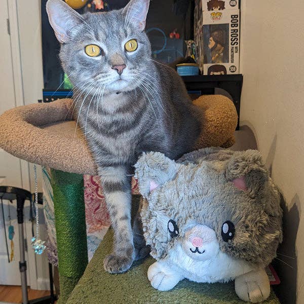 Mini Grey Kitty Plush