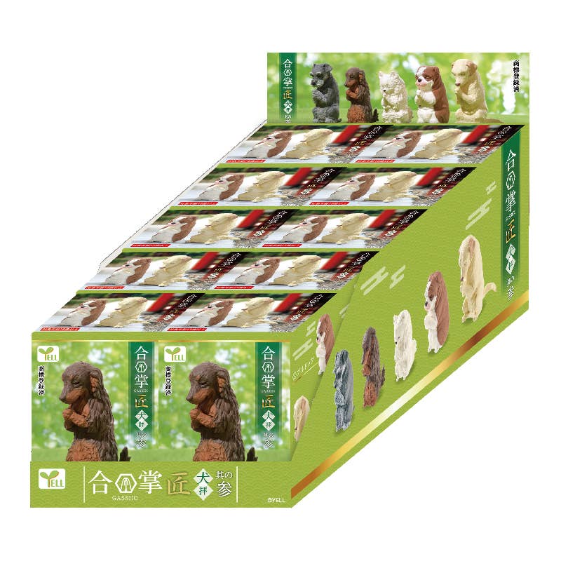 Surprise Box - Prayer Dog