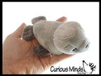 Cute Grey Harbor Seal Plush Stuffed Animals- Adorable