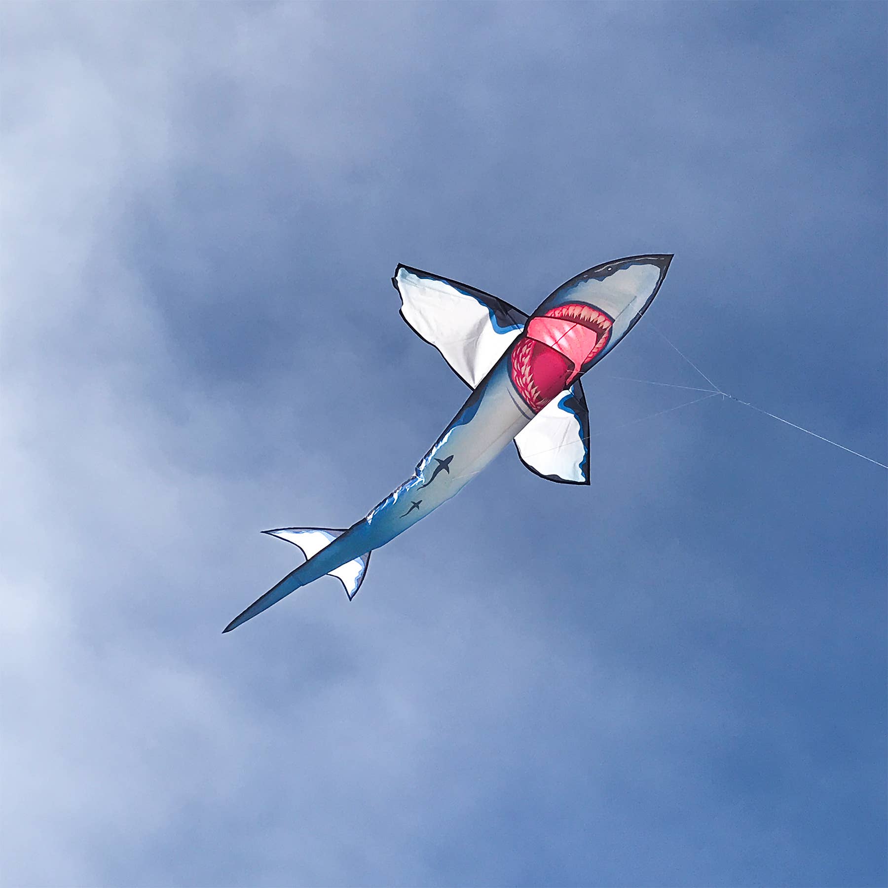 7.5' Great White 3D Shark Kite
