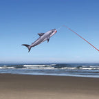 Baby Shark 30" Fish Windsock